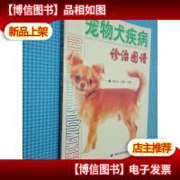 宠物犬疾病诊治图谱