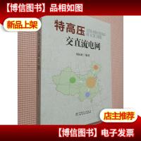 特高压交直流电网