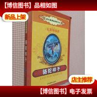 骆驼祥子:语文节目(名家导读版)