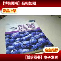 蓝莓是最天然的医*