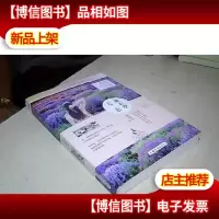薰衣草之恋