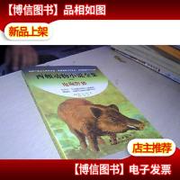 泡泡野猪—— 西顿动物小说全集(第二版)