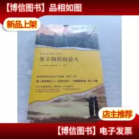 那不勒斯的萤火(被誉为欧美文坛近十年来的“灯塔”巨作,跟《追