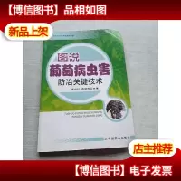 图说葡萄病虫害防治关键技术