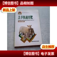 羔羊快速育肥