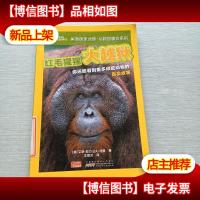 美国国家地理·动物故事会系列 红毛猩猩大越狱