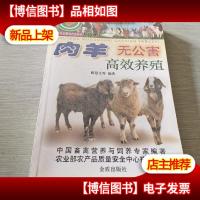 肉羊无公害高效养殖
