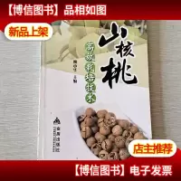 山核桃高效栽培技术