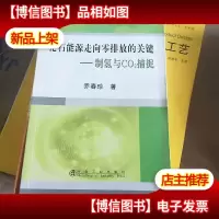 化石能源走向零排放的关键:制氢与CO2捕捉
