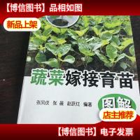 蔬菜嫁接育苗图解。