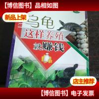 乌龟这样养殖就赚钱.