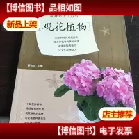 图说盆栽养护这点事:观花植物