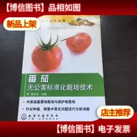 番茄无公害标准化栽培技术