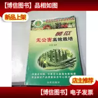 黄瓜无公害高效栽培