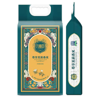 九洲贡尊享茉莉香米[新米10斤]真空包装 精选籼米长粒米煲仔饭专用非东北大米