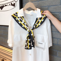 盛世尼曼韩国圆领小披肩女夏季搭吊带外搭丝巾领巾春秋薄款假领子围巾坎肩