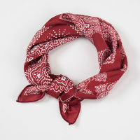 盛世尼曼余生请多指教杨紫丝巾小方巾夏季薄款女绑包复古腰果红色领巾头巾