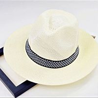盛世尼曼夏天季款大帽檐草帽遮阳防晒礼帽爵士帽子沙滩旅游男士中老年网帽帽子