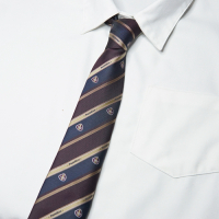 盛世曼尼[刺篇]jk/dK制服原创正统褐金刺绣深色手打领带配件男女款