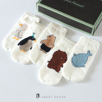 盛世尼曼礼盒袜子夏季男女棉船袜日系可爱小熊卡通动物浅口白短袜个性薄