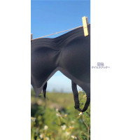 盛世尼曼闭眼入果冻条软支撑 软糯Q弹一片式光面裸感舒适乳胶内衣文胸胸罩