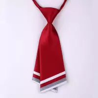 盛世尼曼韩版职业正装学院风女士小领带领结领花表演日式蝴蝶结学生领带