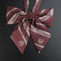 盛世尼曼]赤明川高校 jk领带女原创女士领带创意装饰领带领结领带