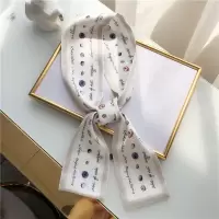 盛世尼曼新潮春秋小丝巾女装饰韩国长条领巾ins百搭韩版细窄春季领带围巾领带