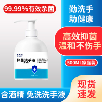 佳佰 免洗洗手液 抑菌消毒液雅美莉500ml