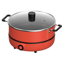 九阳电磁炉（电火锅）C21-HG5