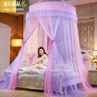 鸟与树吊顶圆顶公主风蚊帐双人家用1.5/1.8m米床落地吸顶免安装 三维工匠