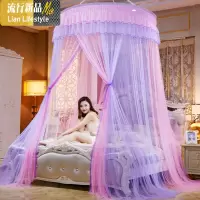 鸟与树吊顶圆顶公主风蚊帐双人家用1.5/1.8m米床落地吸顶免安装 三维工匠