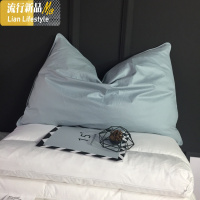 [羽绒枕]冰岛风格五星酒店羽毛枕水鸟毛枕芯枕头慢回弹副枕单只 三维工匠