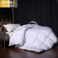 大豆纤维冬被加厚保暖丝棉被芯棉太空单双人春秋空调被褥特厚10 三维工匠被子