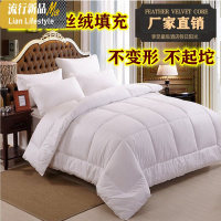 宾馆酒店10斤加厚冬被芯被子夏凉被空调羽丝绒棉被白春秋四季薄被 三维工匠
