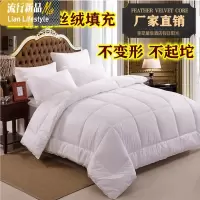 宾馆酒店10斤加厚冬被芯被子夏凉被空调羽丝绒棉被白春秋四季薄被 三维工匠