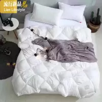 潮牌日式水洗棉酒店被子冬季加厚保暖春秋冬被芯空调被棉被褥 三维工匠