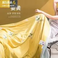 空调被薄款夏季单人学生春秋被芯双人可机洗薄被子夏天儿童夏凉被 三维工匠
