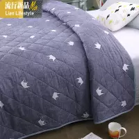 卧室单人被子轻薄秋冬超薄棉被薄夏凉春秋学生舒适成人夏季冰丝薄 三维工匠