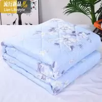 夏凉被空调被夏天薄被单人双人夏被学生宿舍可机洗薄款春秋被芯 三维工匠被子