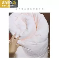 春秋被四季通用加厚保暖被子被芯单双人冬被 三维工匠