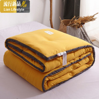 水洗棉夏被春秋被四季被芯加厚保暖冬被单双人加大棉被褥空调被 三维工匠被子