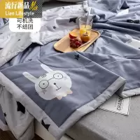 空调被夏凉被棉棉薄款夏季单人学生双人薄被子春秋可机洗夏被 三维工匠