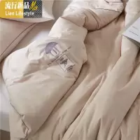 大豆纤维被棉被冬被被子被芯加厚保暖双人棉春秋冬季太空被8斤 三维工匠