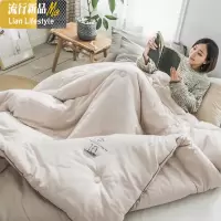 简约棉提花大豆纤维被芯春秋被 秋冬加厚保暖单人双人冬被 三维工匠被子