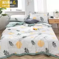 空调被棉棉夏凉被单人夏被薄款夏季薄被子可机洗水洗儿童春秋 三维工匠