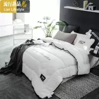 冬天加厚保暖双人冬被子丝棉被褥冬季学生宿舍单人春秋太空调被芯 三维工匠