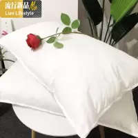 家羽丝绒枕头 无荧光剂慢回弹五星酒店侧睡软纤维枕芯 三维工匠