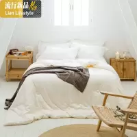 花羽丝绒加厚冬被柔软舒适纯色春秋被秋冬款保暖被子被芯 三维工匠