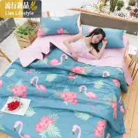 [正常发货中]空调被夏凉被春秋夏季薄款可机洗网红单人床1.5m米 三维工匠被子